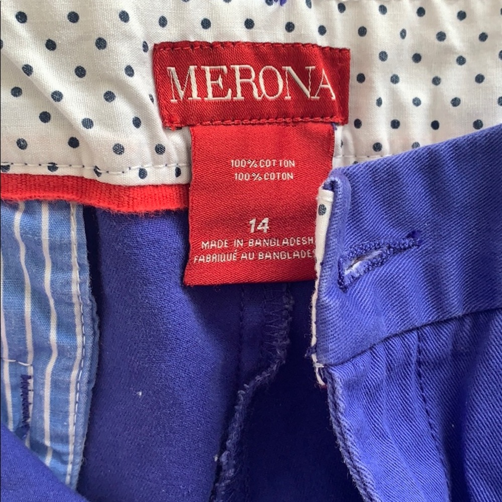 Summer Shorts Bundle - image 7